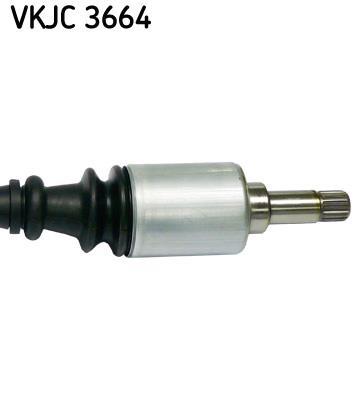 Cardan SKF ref. VKJC 3664